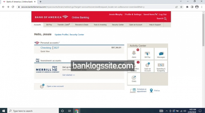 Bank Logs With Email Access February 2024