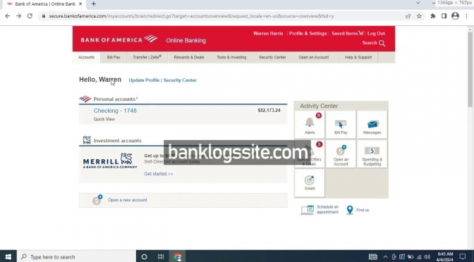 Bank Logs With Balance March 2024